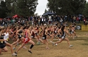 2009 CIF XC Girls D4-009